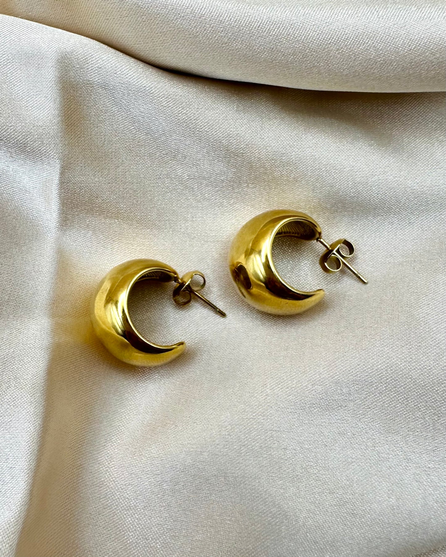 Ruby Earring