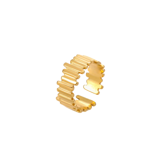 Kimia Ring